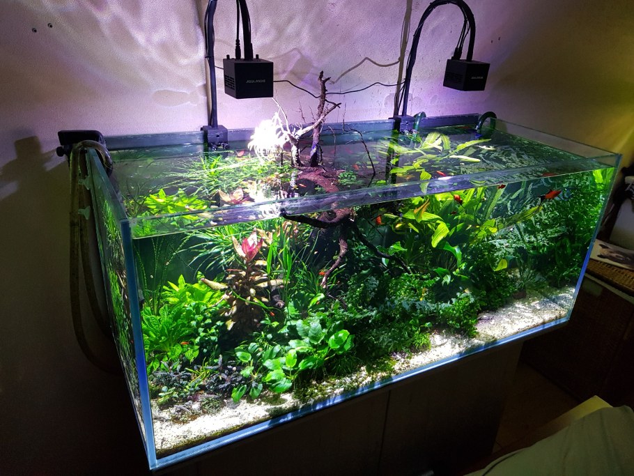 Аквариум 90х45х45 травник