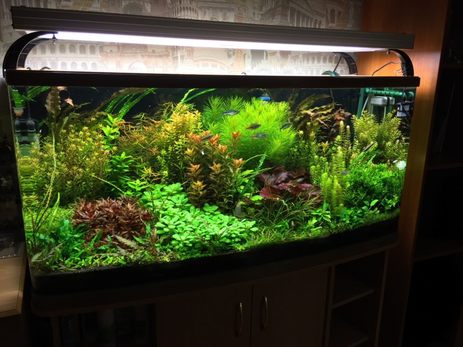 Аквариум травник 80 литров