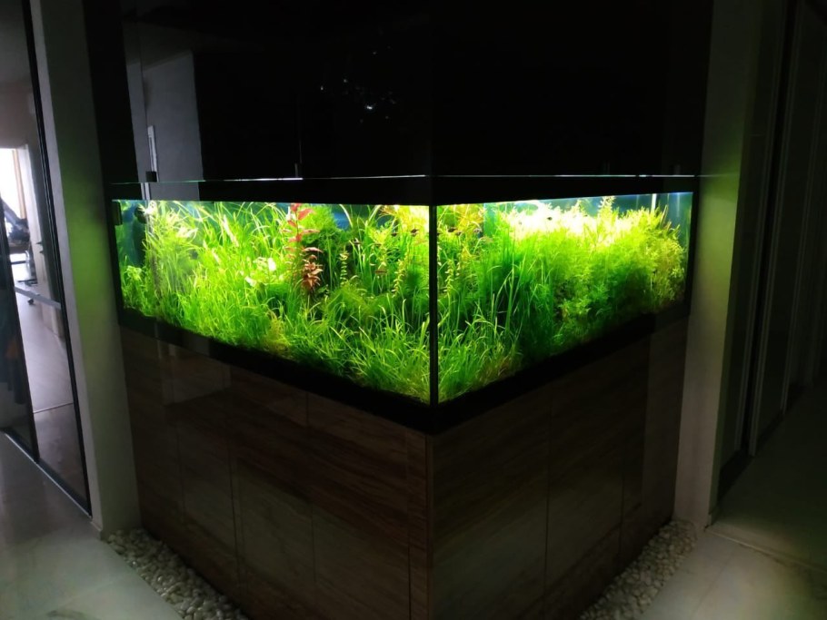 Медленный травник аквариум без со2