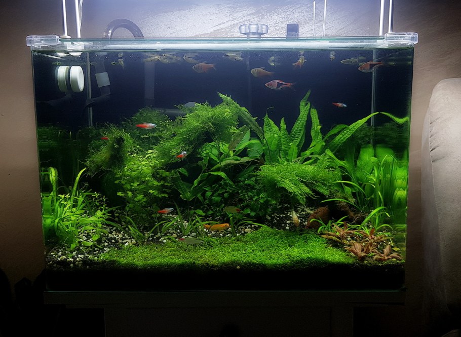 Аквариум травник 100 литров