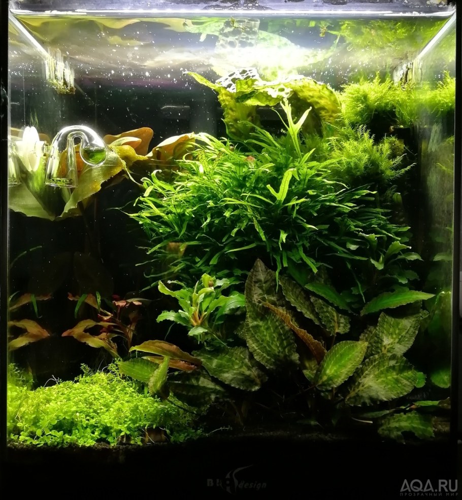 Кубик 30л аквариум