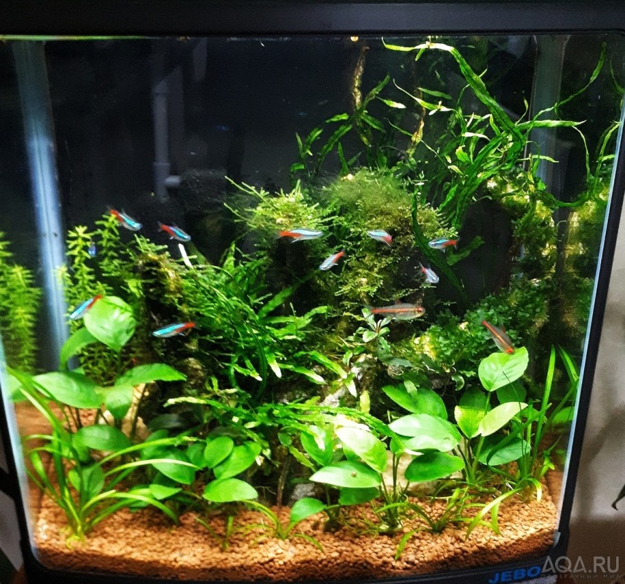 Аквариум травник 30 литров