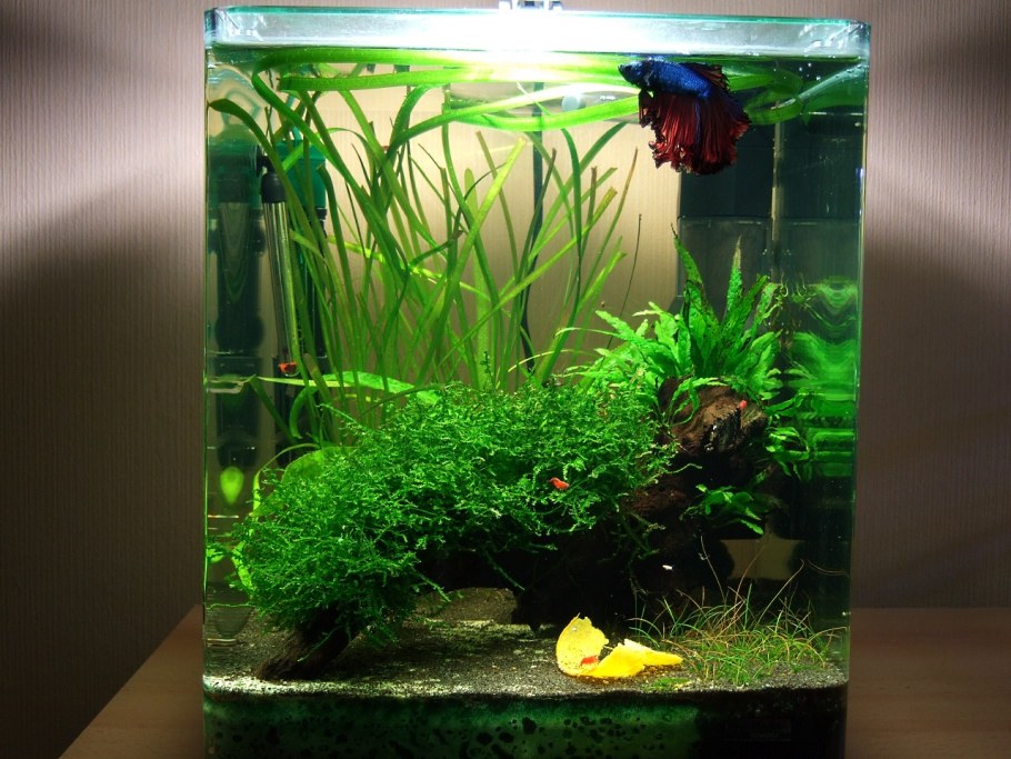 Нано травник 30 литров