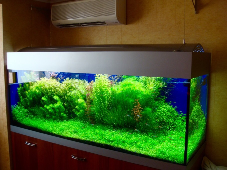 Аквариумы травники 2022