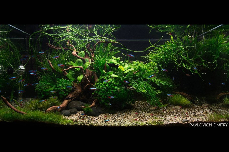 Аквариум травник 200 литров