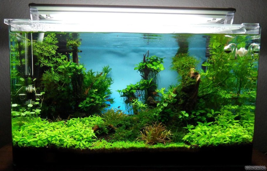 Аквариум травник 80 литров