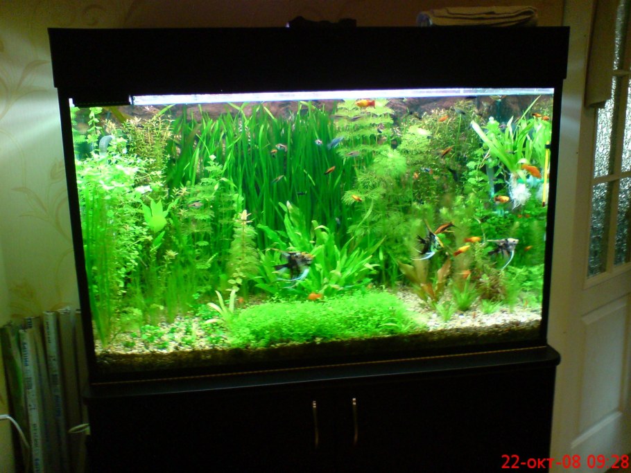 Травник аквариум 55оитров