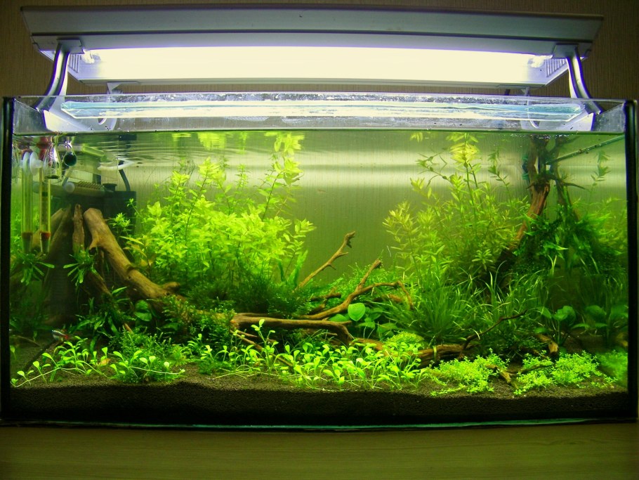 Травник 240 литров