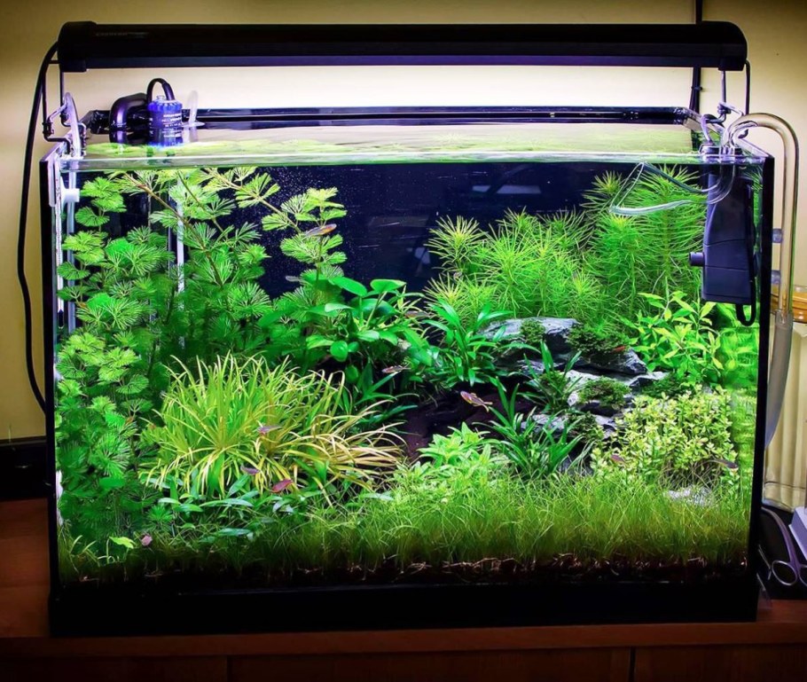 Травник аквариум 25л