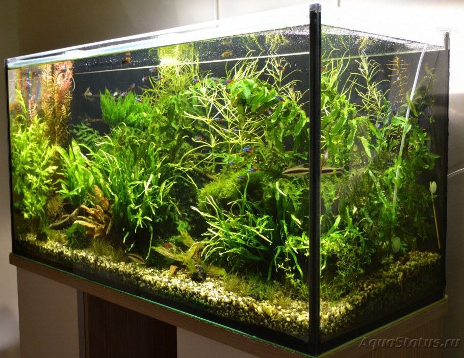 Аквариум травник 100 литров