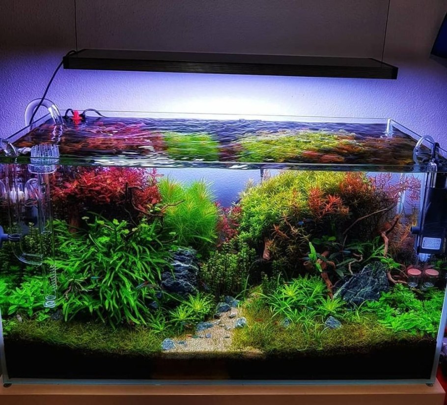 Акваскейп 45 литров