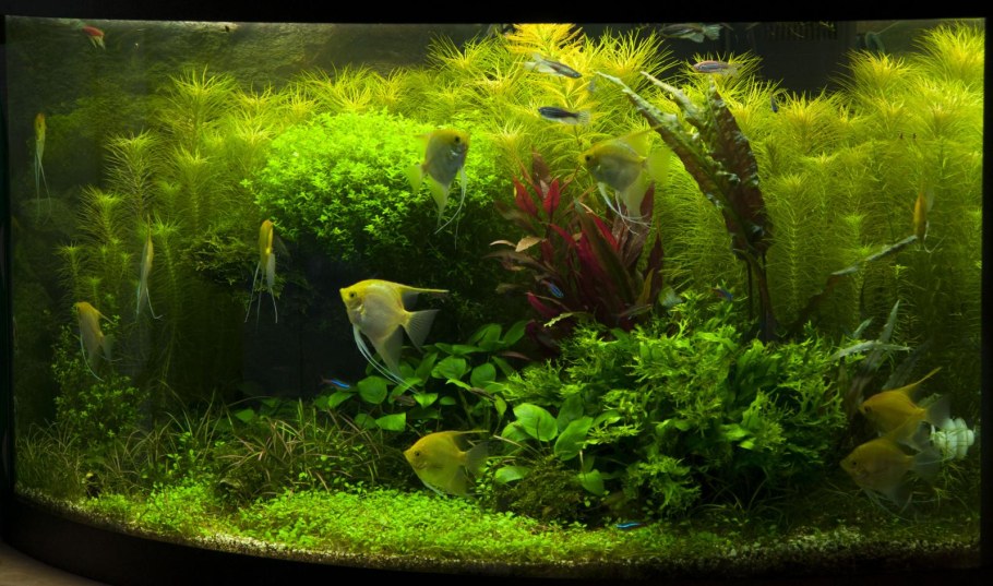 Аквариум травник 120л
