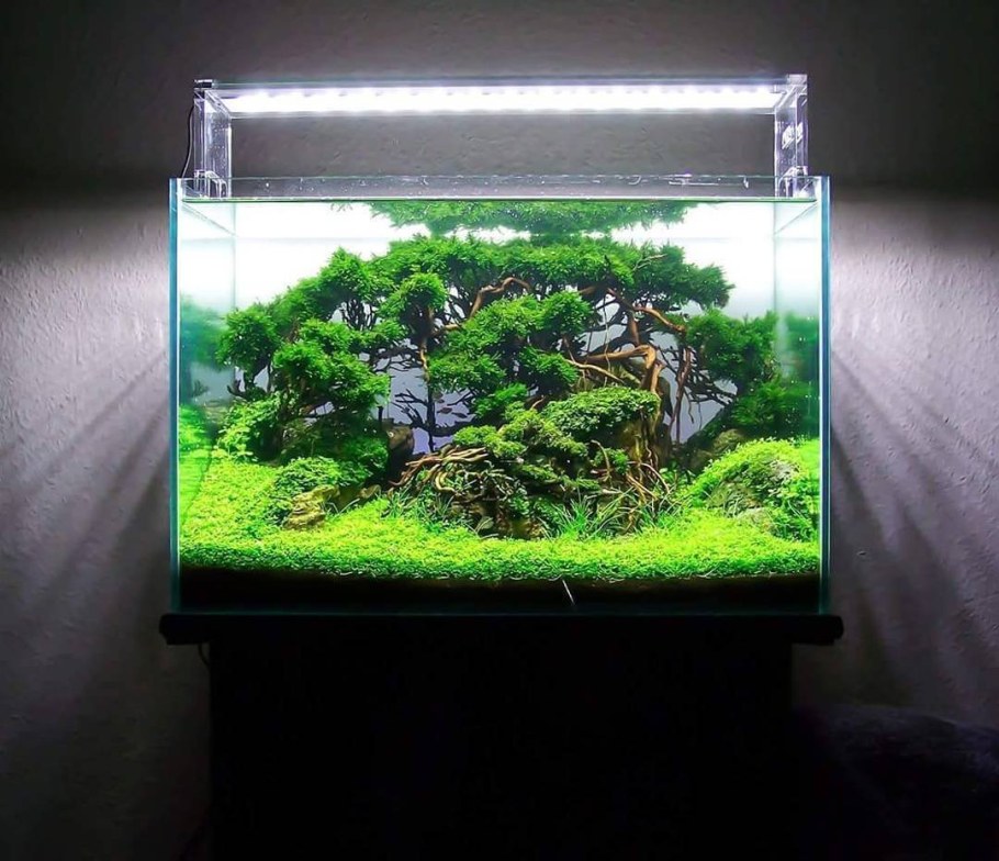 Акваскейп травник