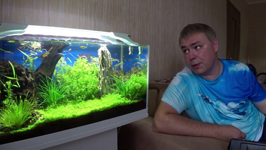Аквариум травник 80 литров