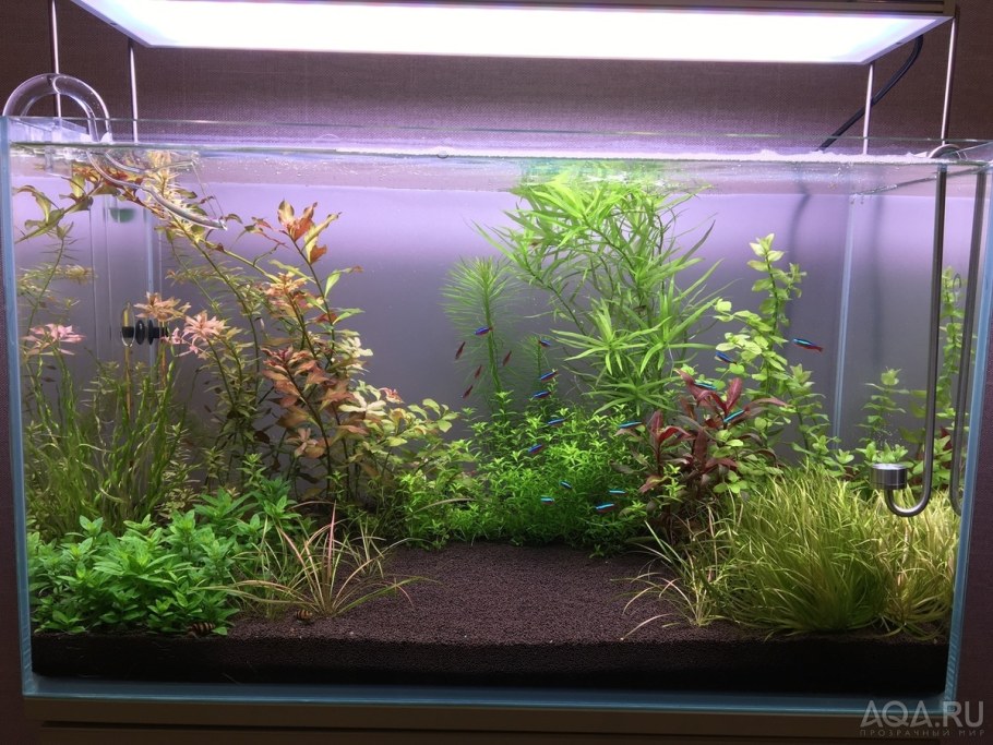 Аквариум травник 200 литров