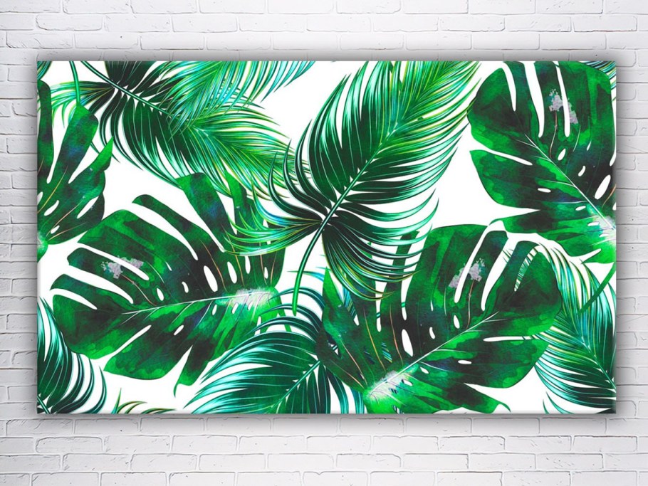 Тропические лист Monstera