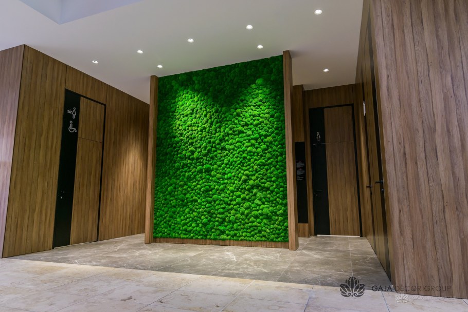 Стеновые панели с мхом