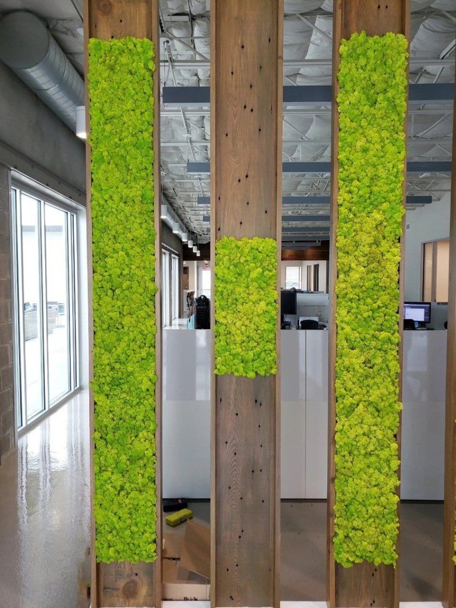 Перегородка из стабилизированного мха