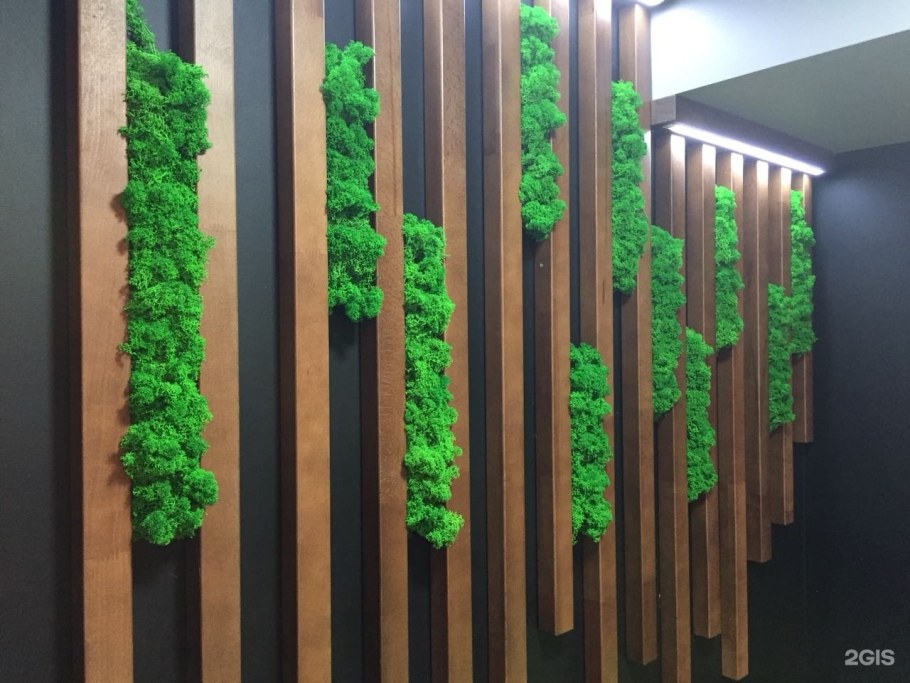 Декор стены мхом