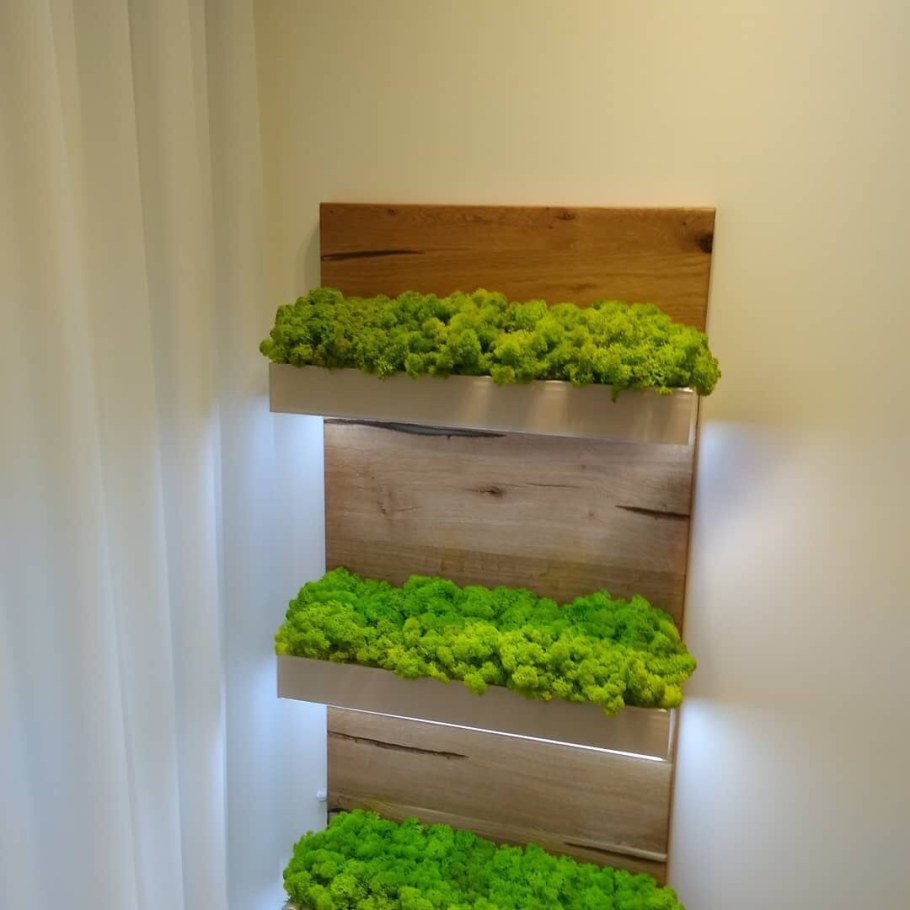 Декор стены мхом