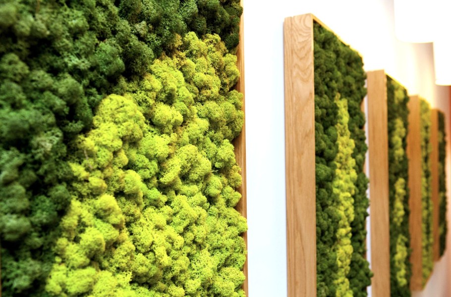 Панно из стабилизированного мха