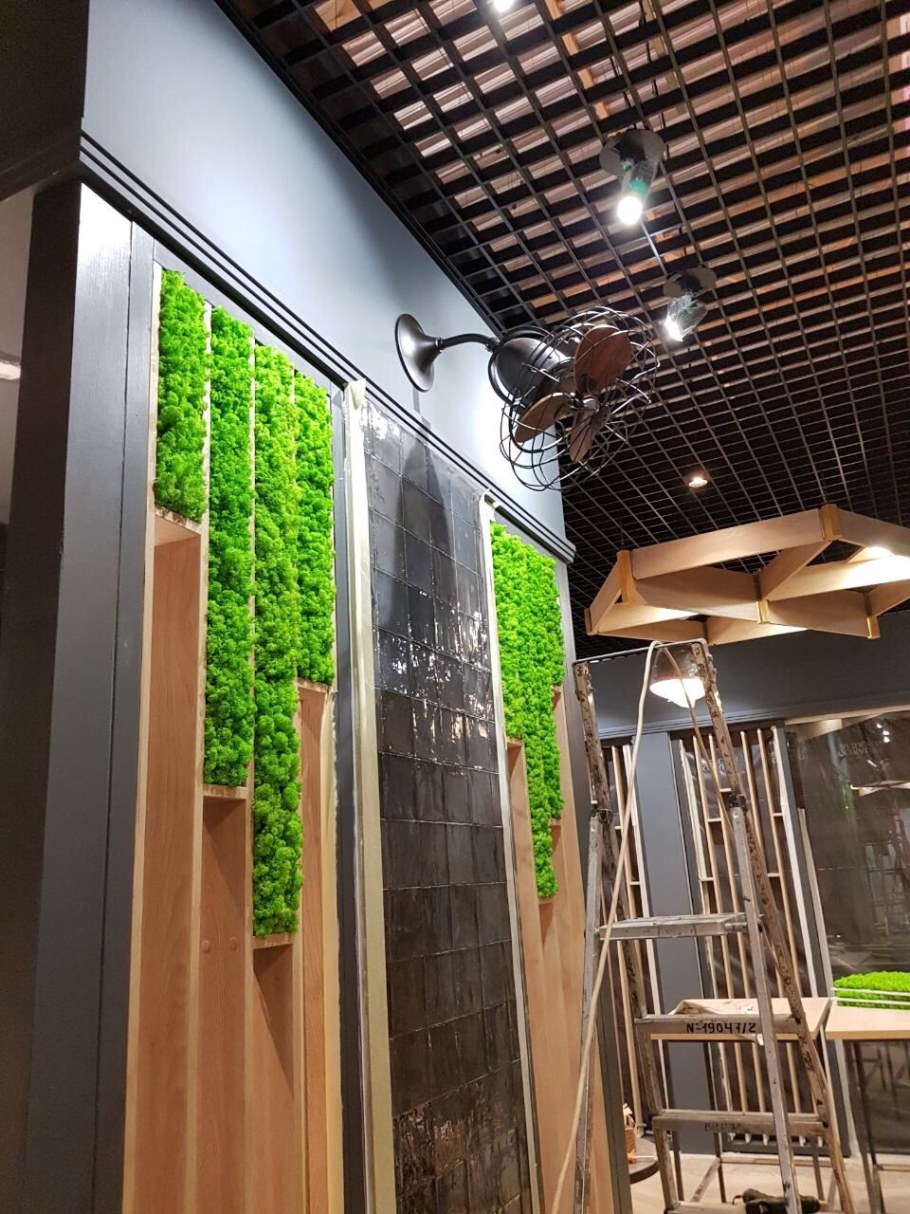 Рейки и мох на стене