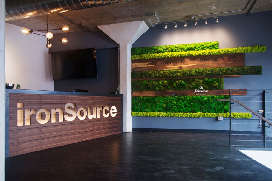 Дерево и мох в интерьере