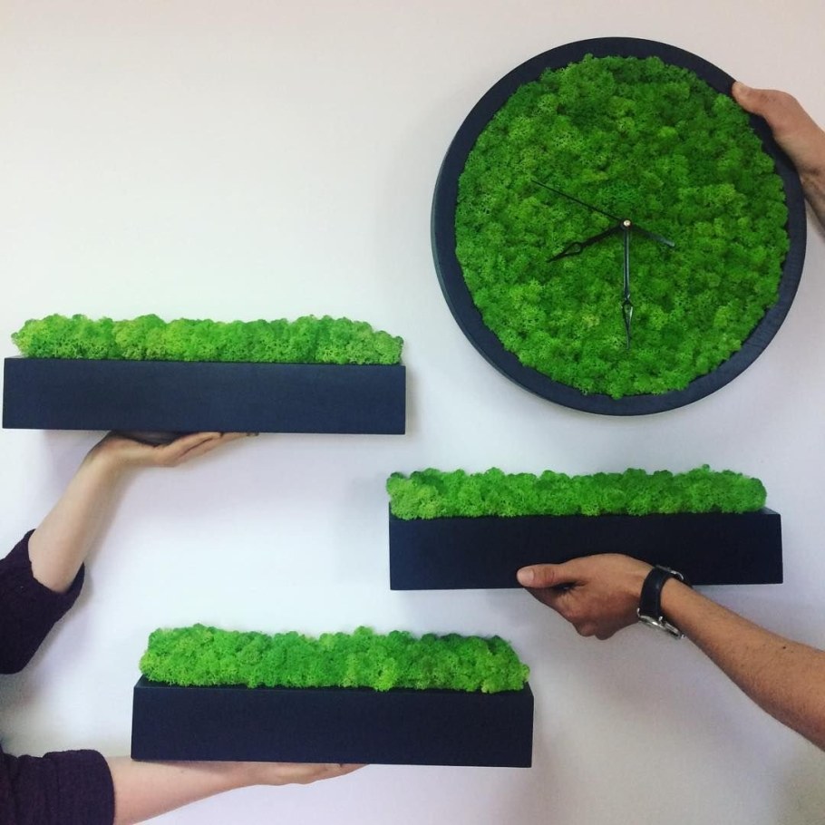 Настенное панно из стабилизированного мха