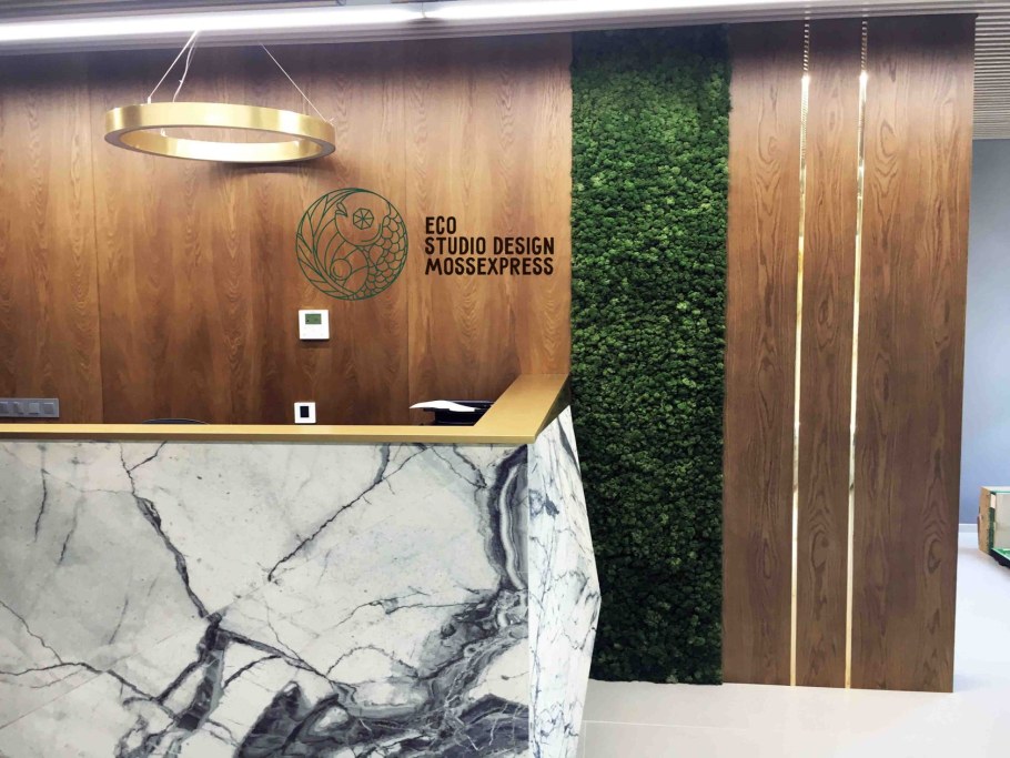 Стабилизированный мох ресепшн