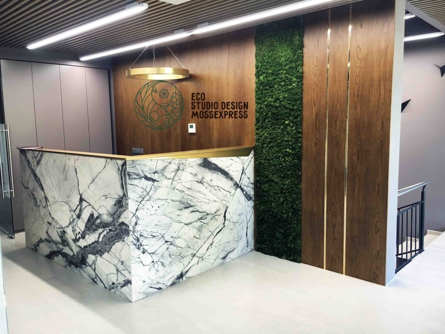 Ресепшн с мхом