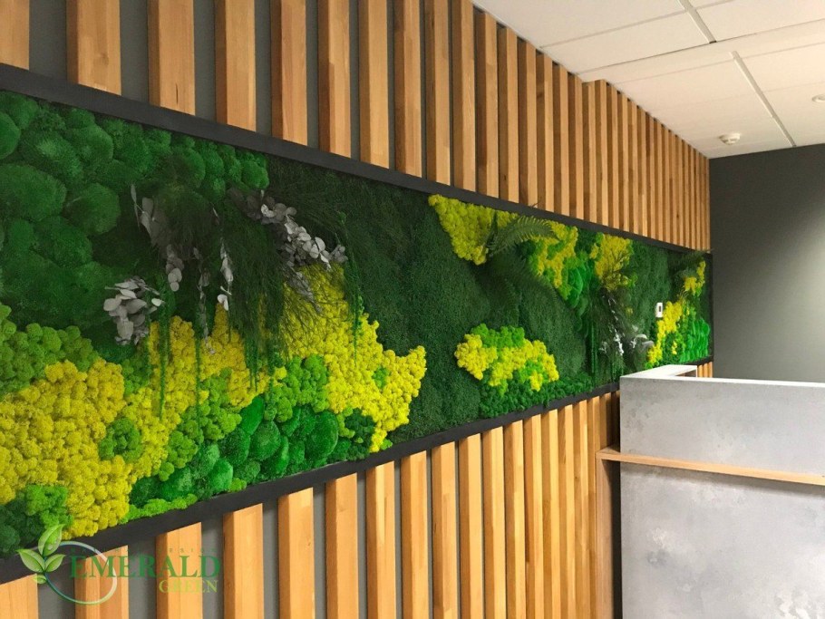 Панно из стабилизированного мха