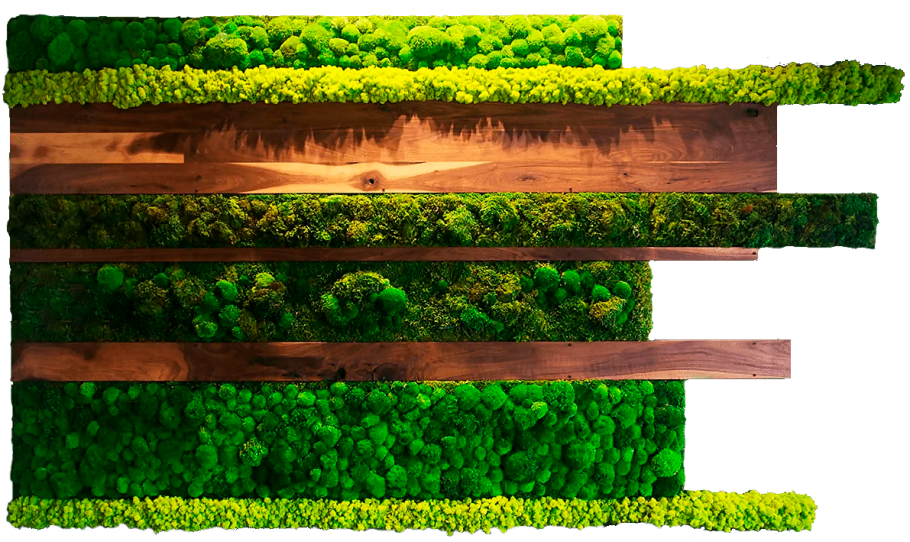 Озеленение мхом