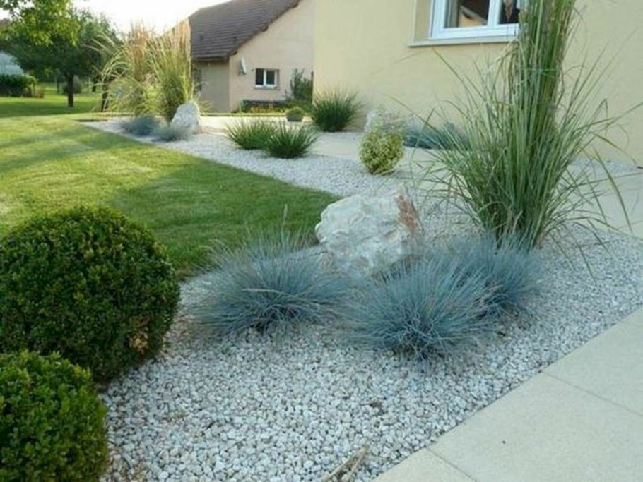 Овсяница фестука