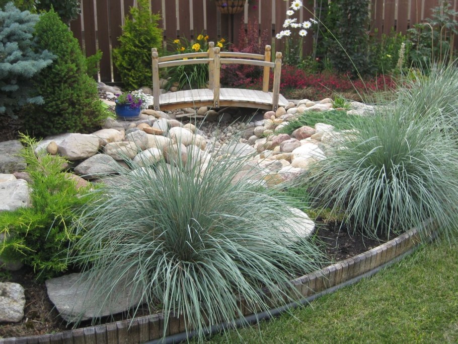 Овсяница сизая Варна