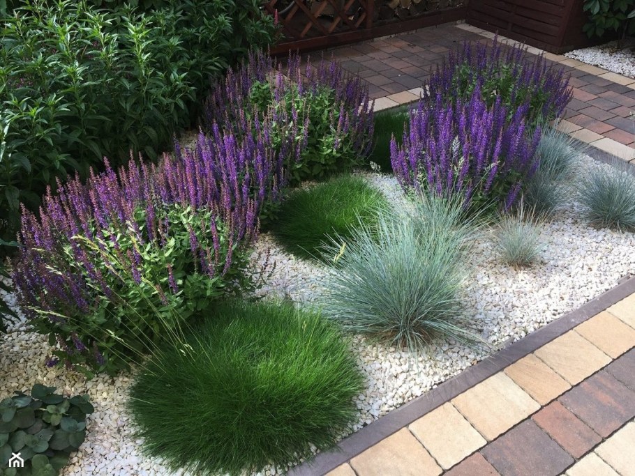 Миксбордер с овсянницей и лавандой