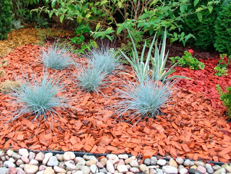 Овсяница сизая "Festuca"