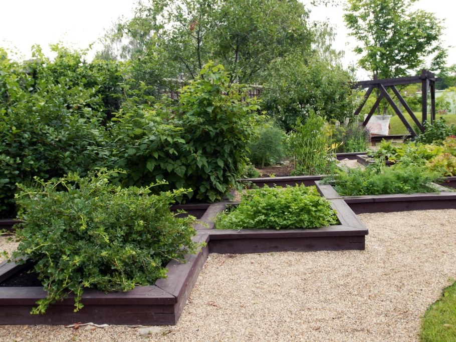 Красивые грядки в саду