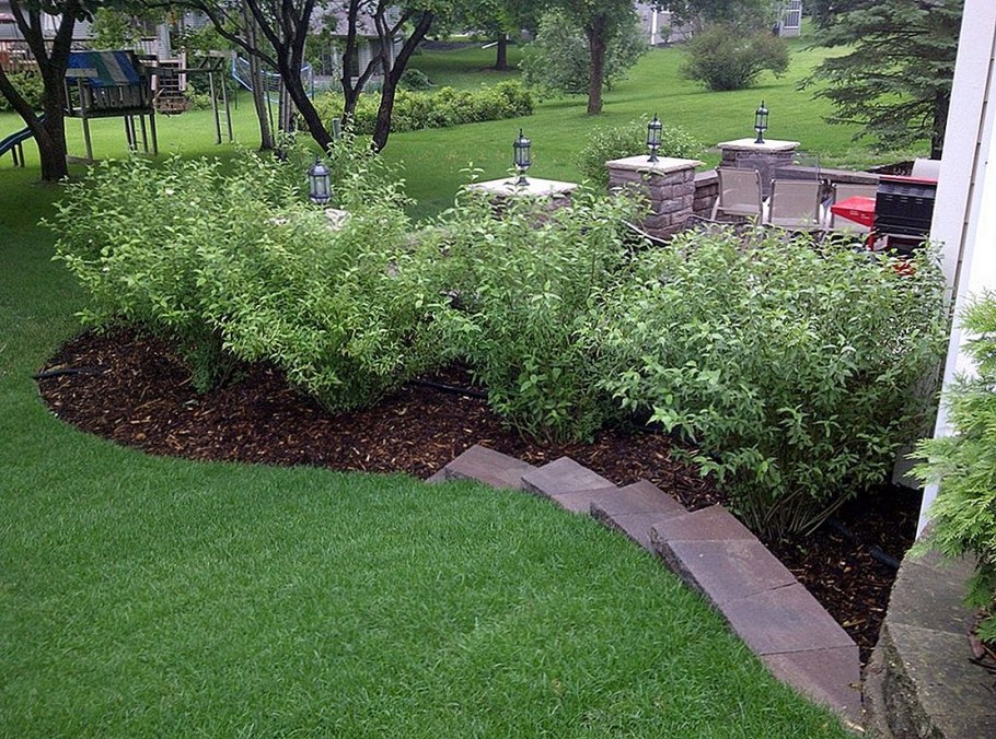 Мульчирование сирени