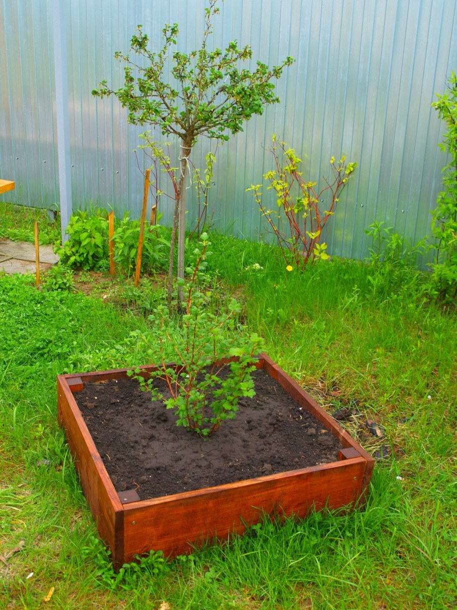 Грядки для смородины