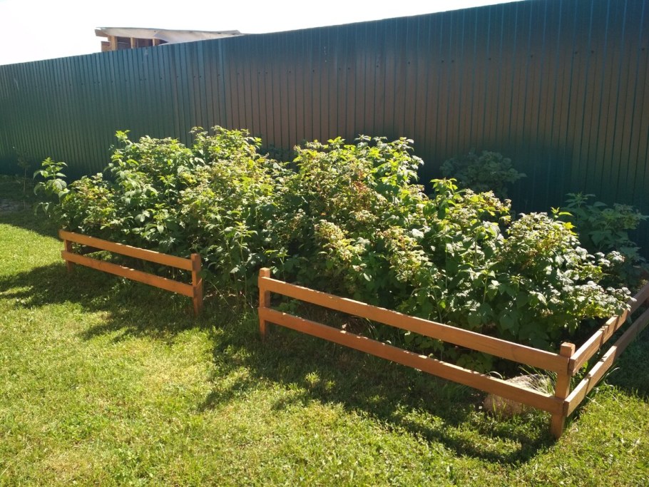 Грядки для малины