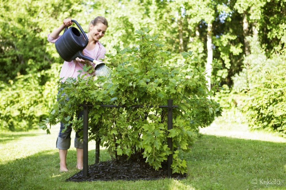 Подпорка для кустарников