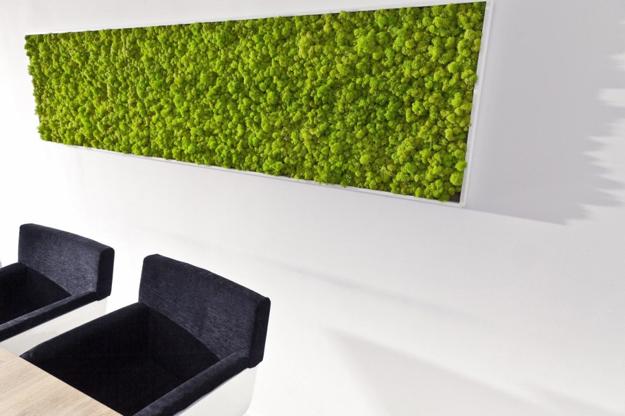 Стена из стабилизированного мха ягель