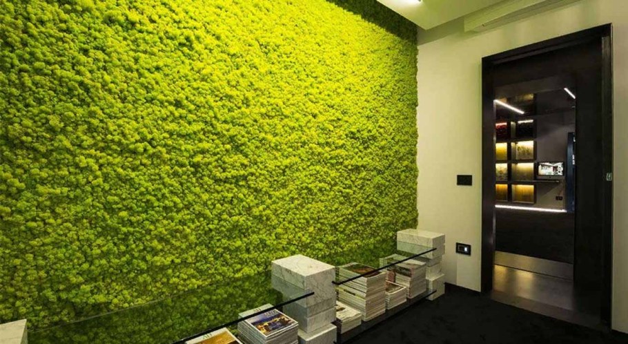 Фитостена из стабилизированного мха