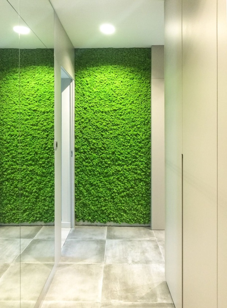 Ягель Фитодекор