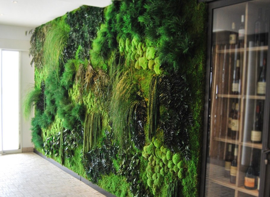 Фитостена из стабилизированного мха и растений