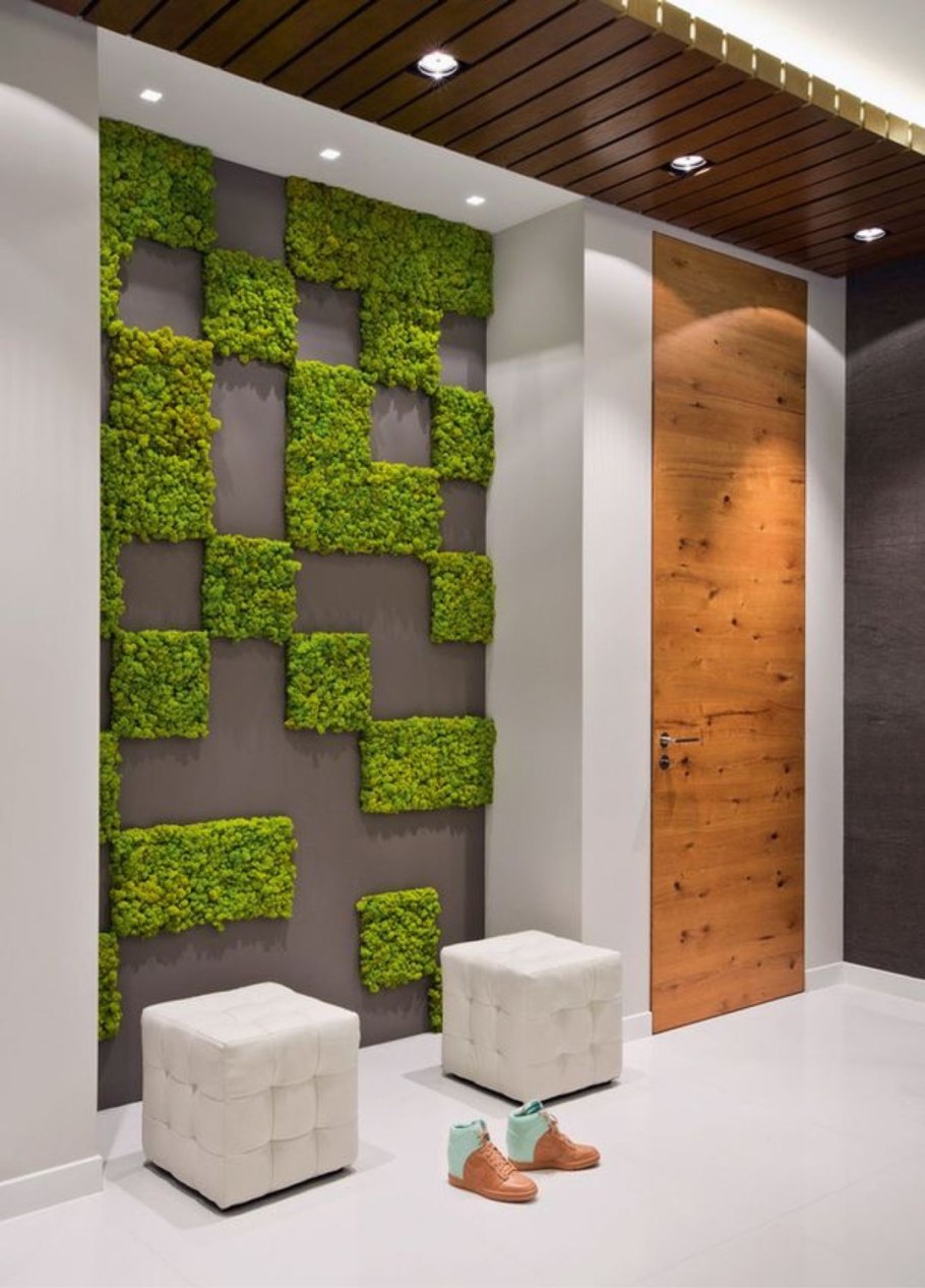 Мох в интерьере