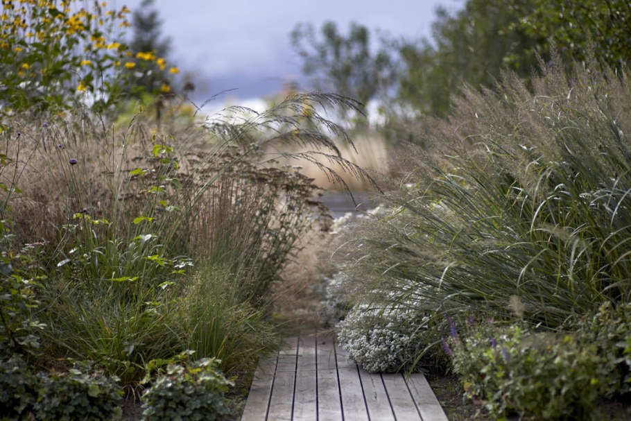 Пит Удольф злаковые сады