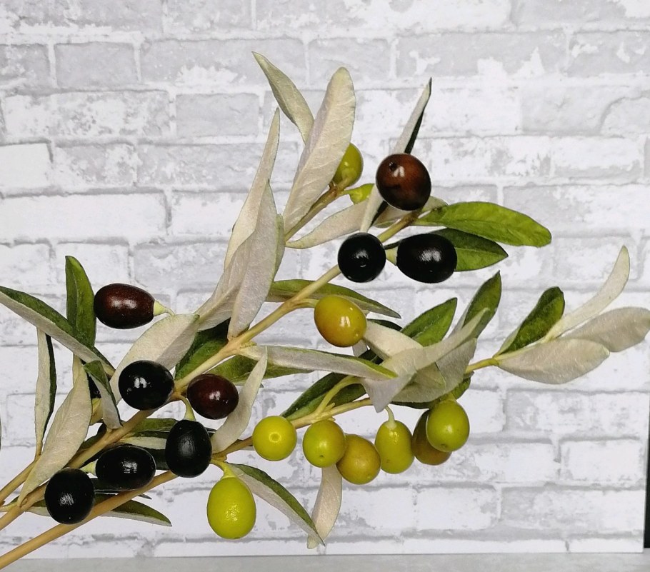 Оливки на ветке