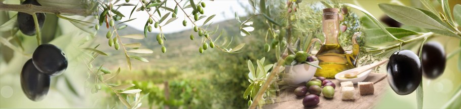 Фартук для кухни оливковое масло