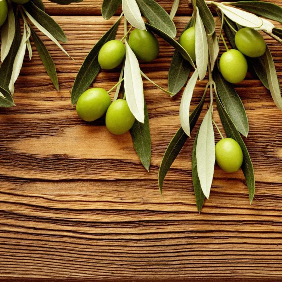 Веточки оливы